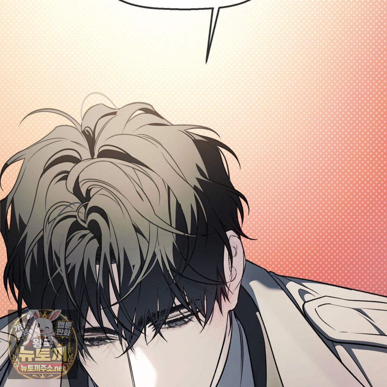 003.jpg