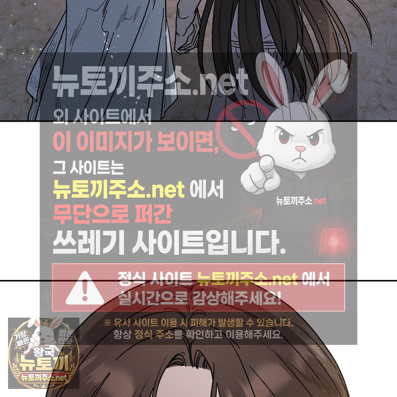 113.jpg