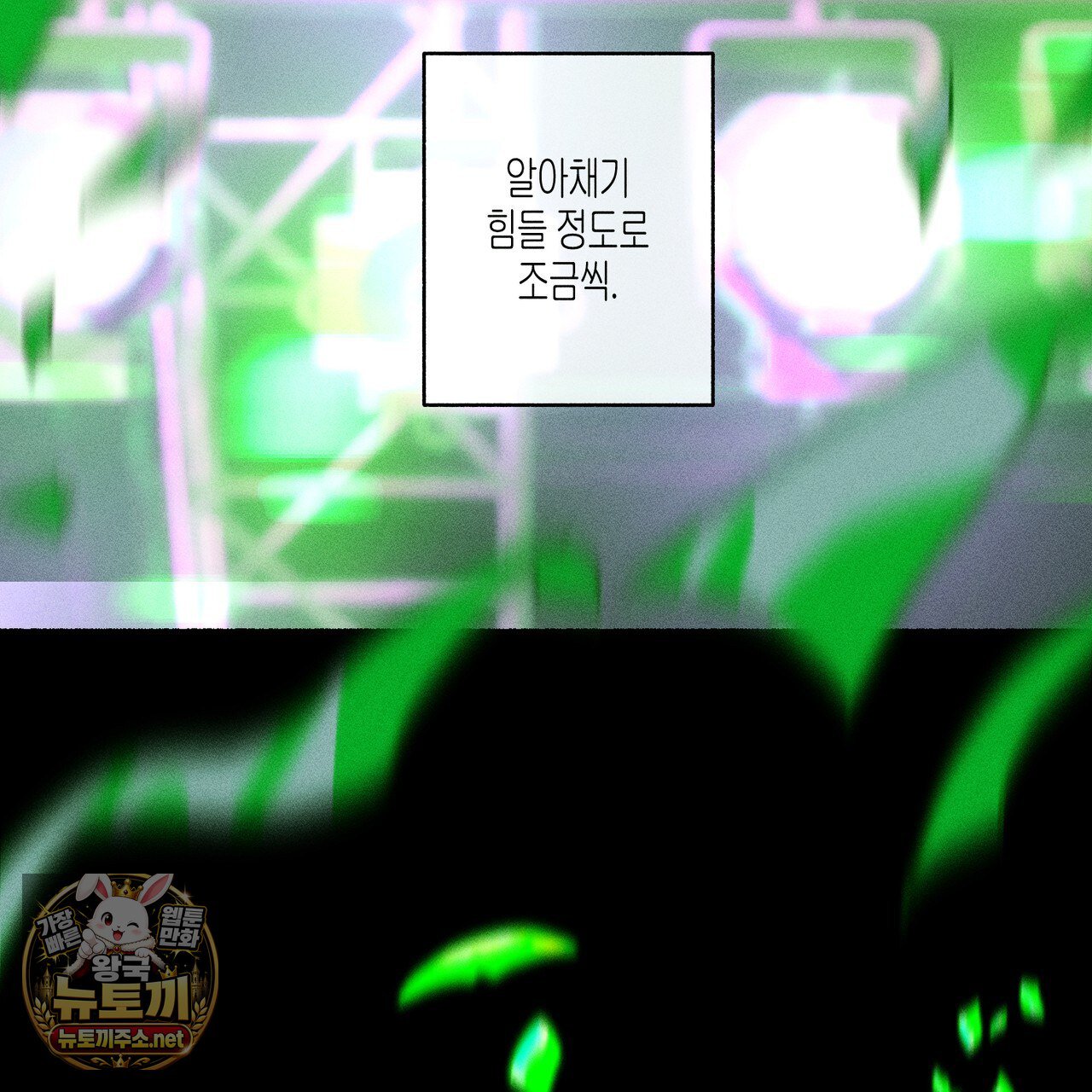 031.jpg