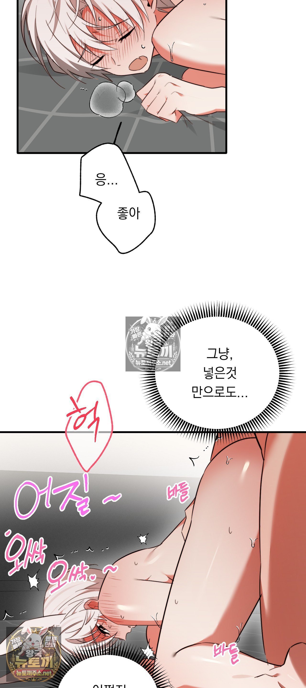 003.jpg