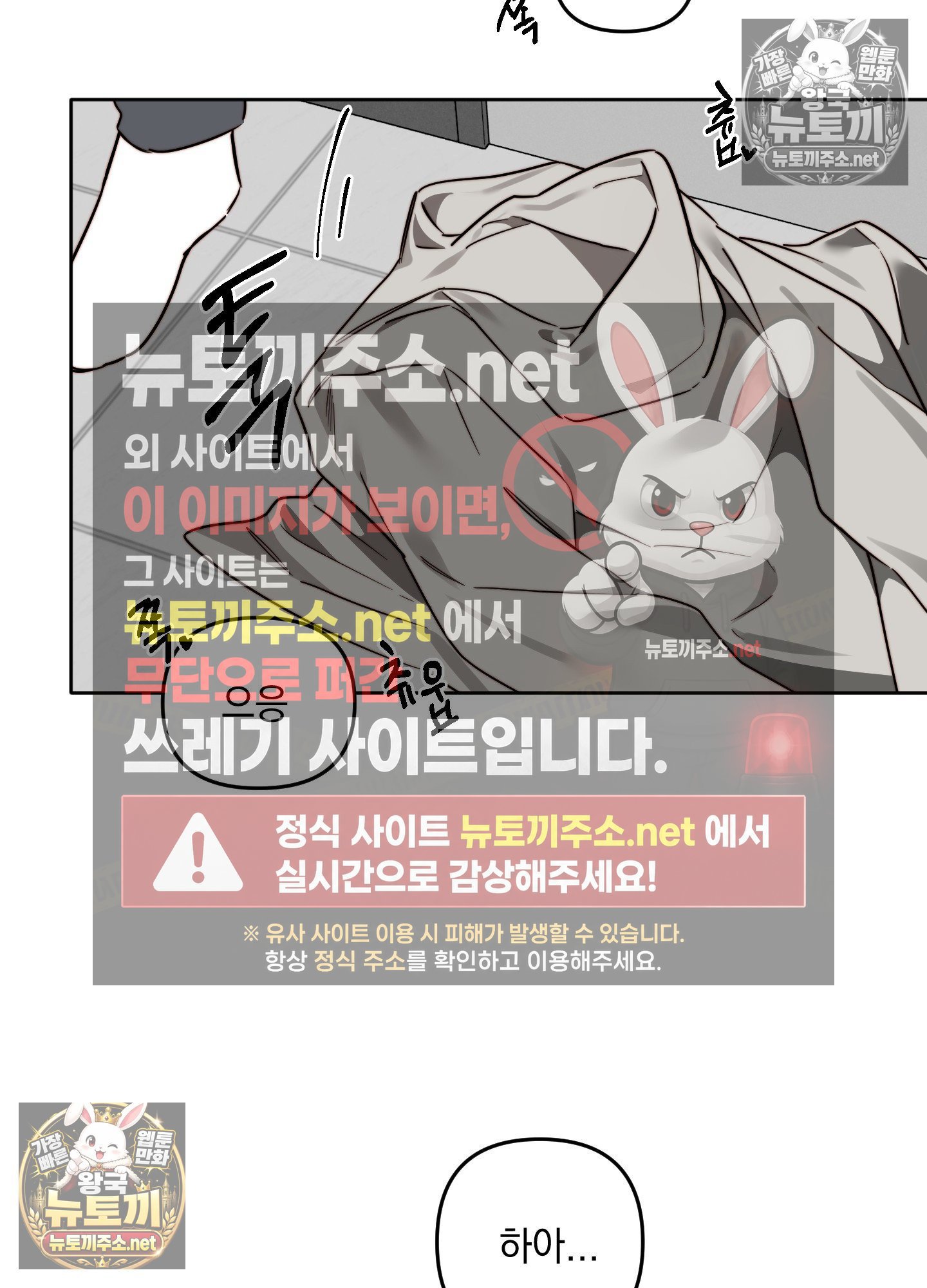 007.jpg