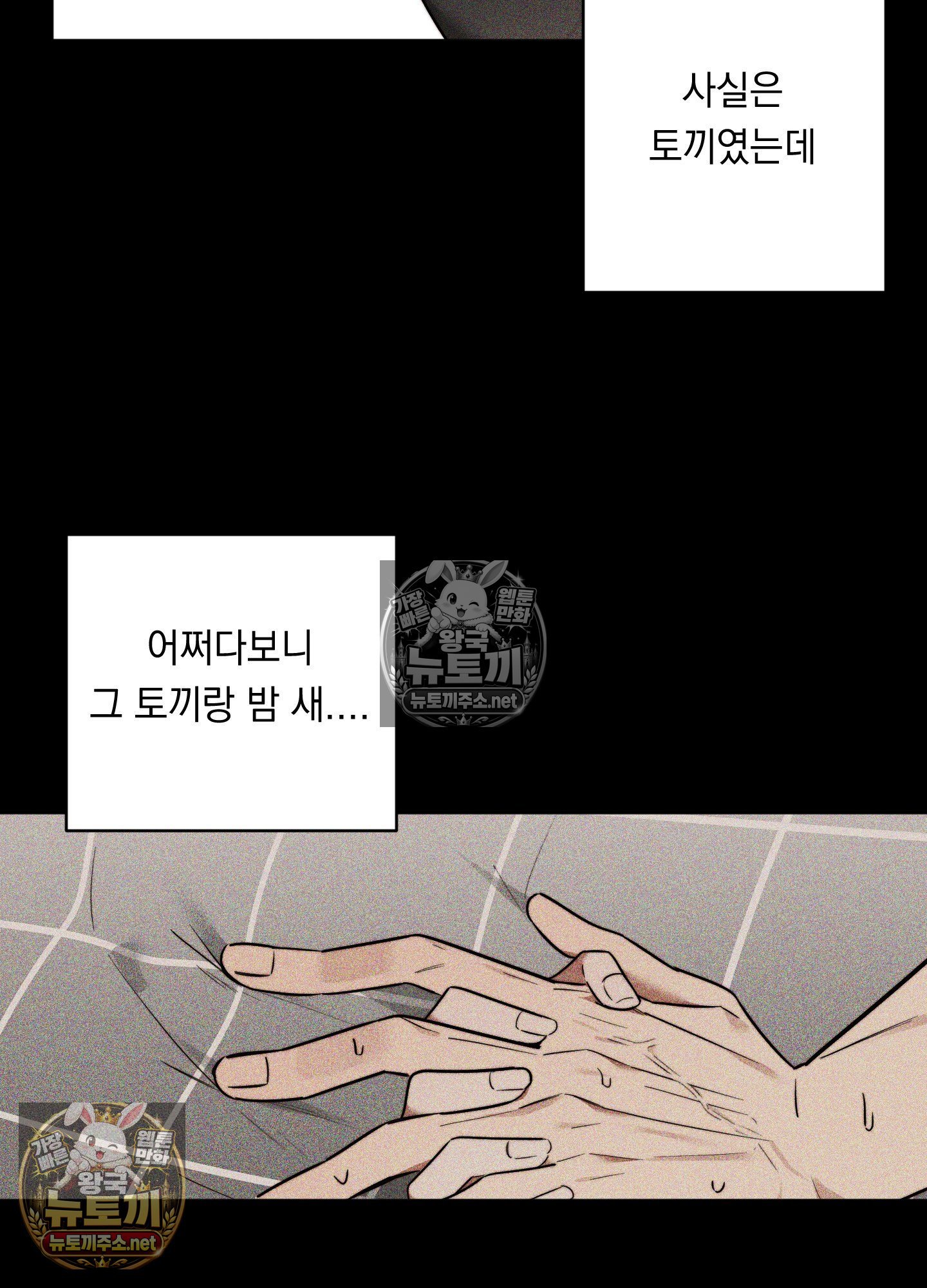 003.jpg