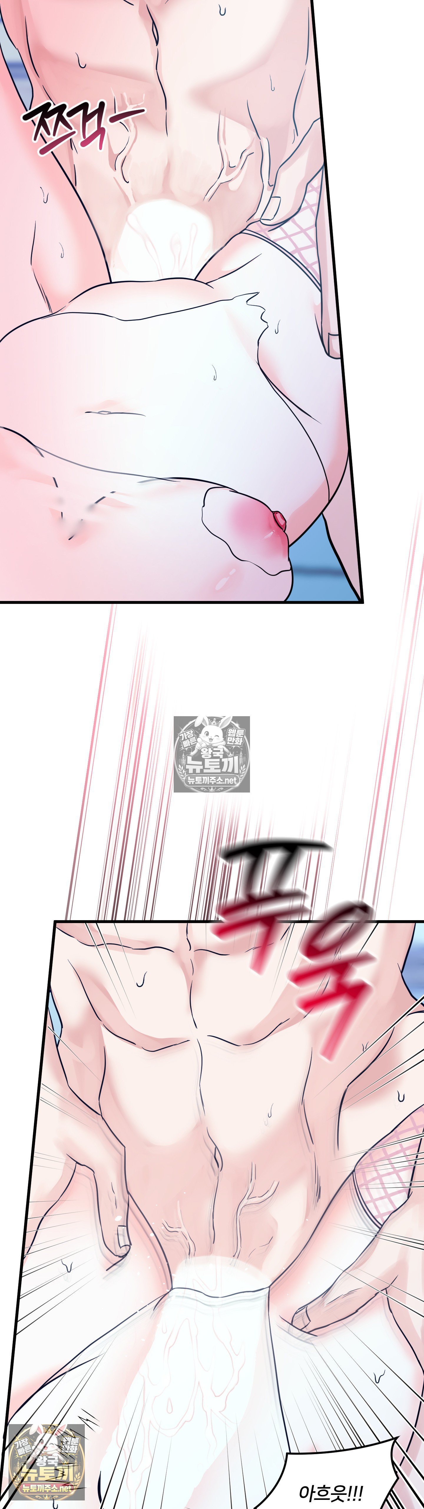 005.jpg