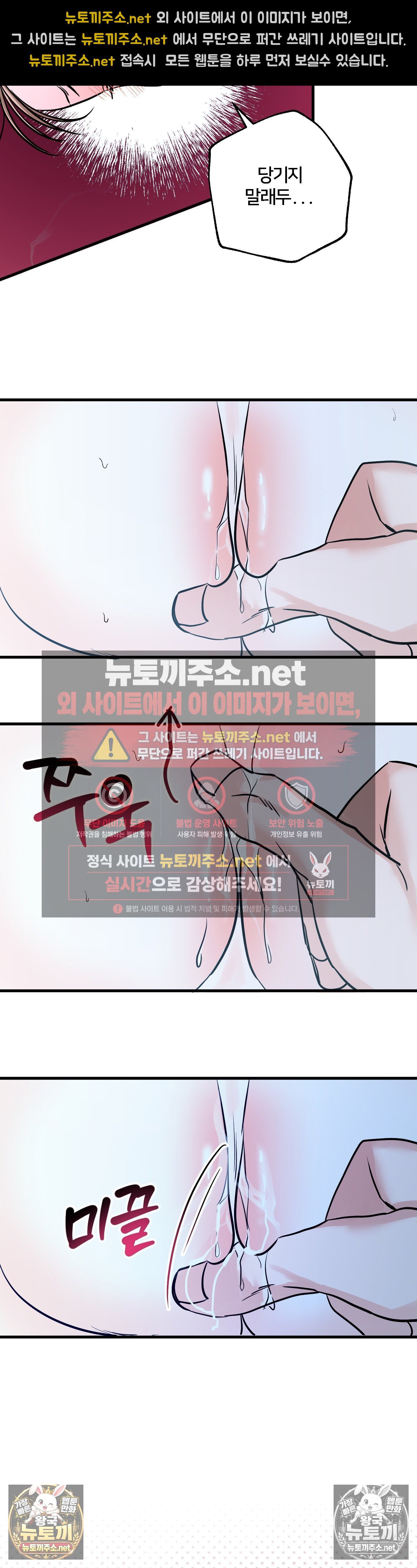 008.jpg