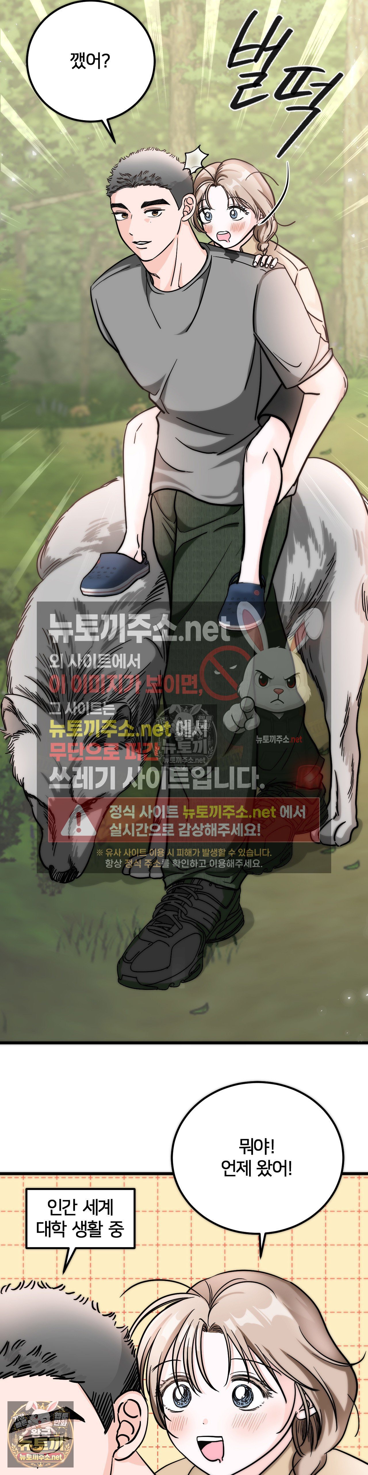 003.jpg