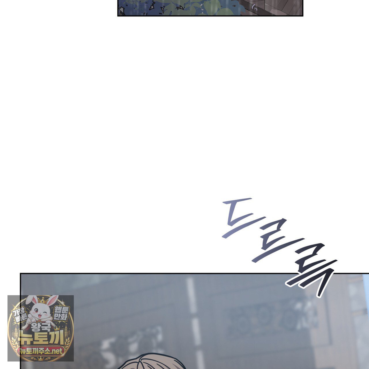 146.jpg