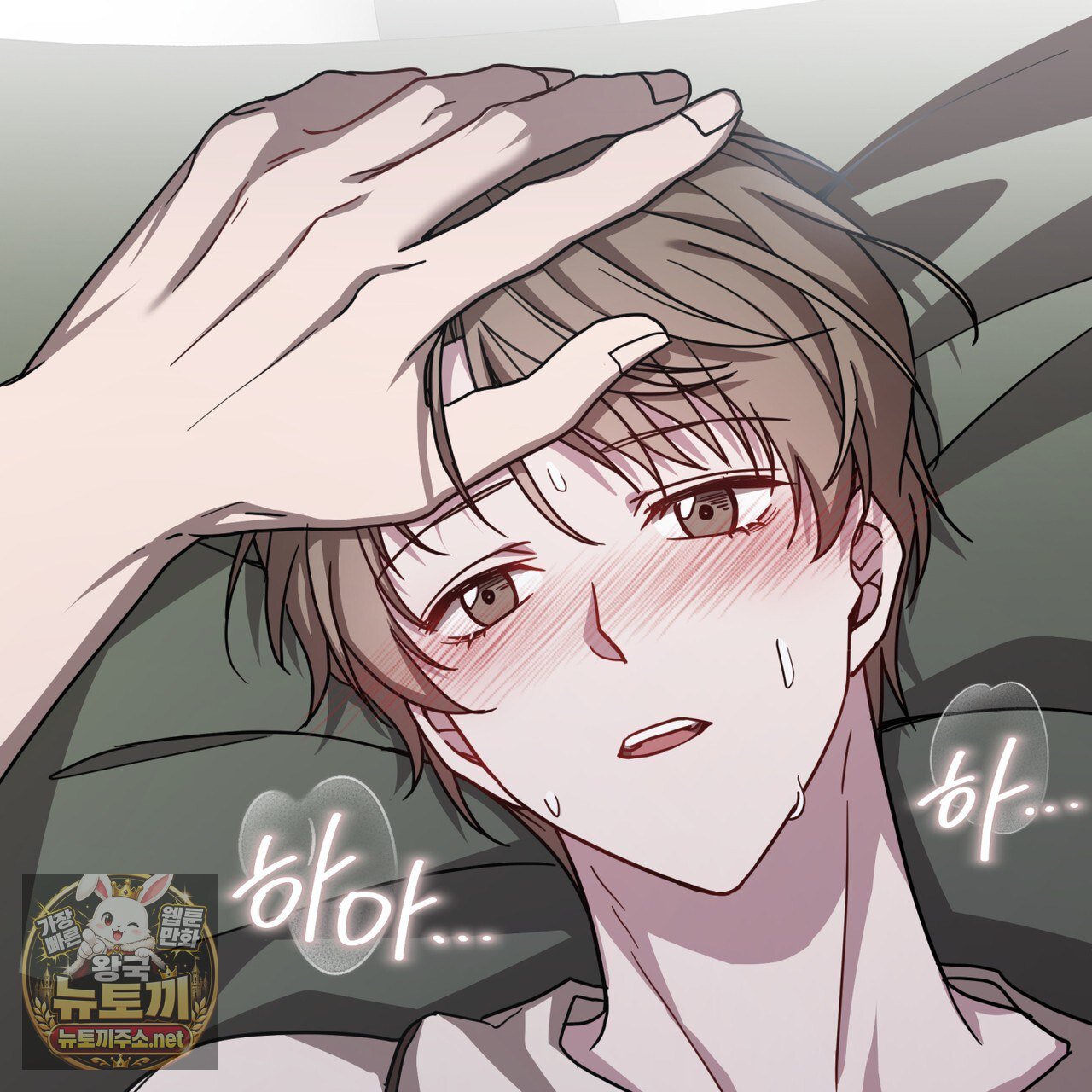 005.jpg