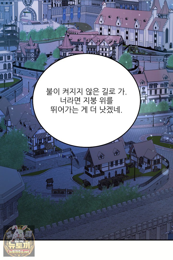 050.jpg