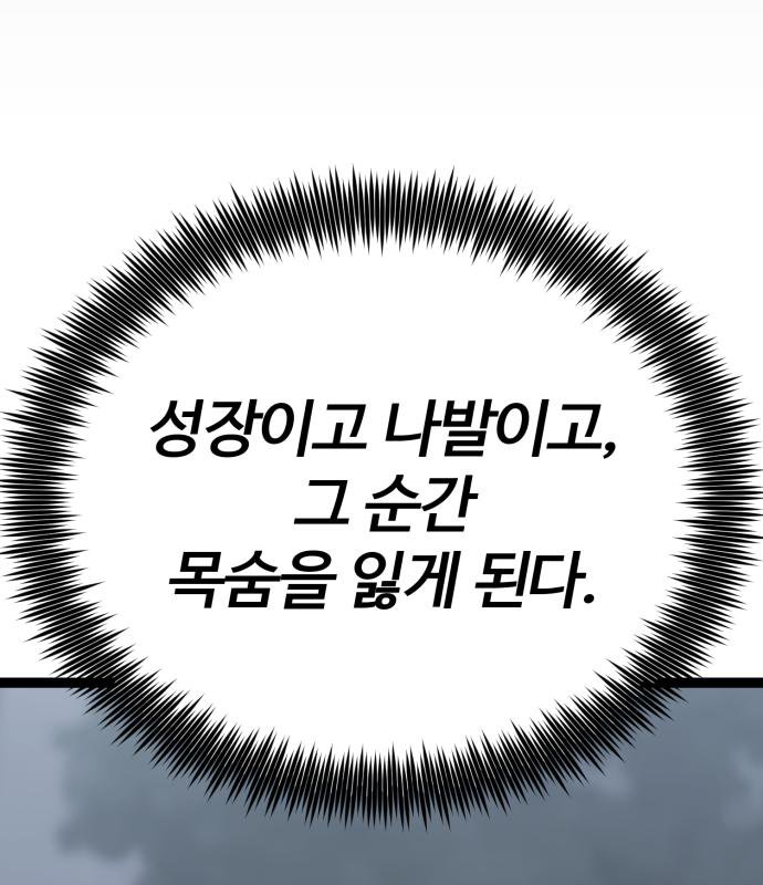 202.jpg
