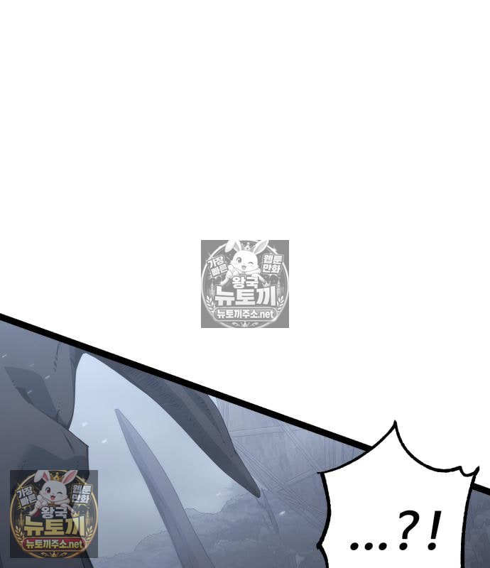 258.jpg
