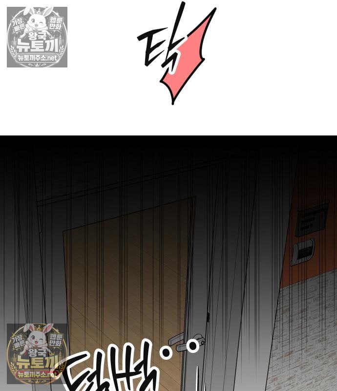 113.jpg