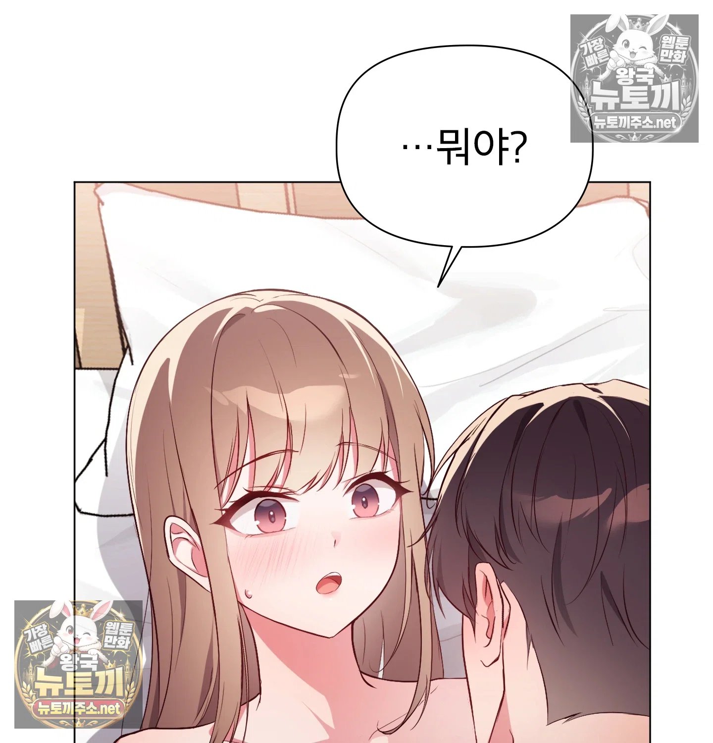 005.jpg