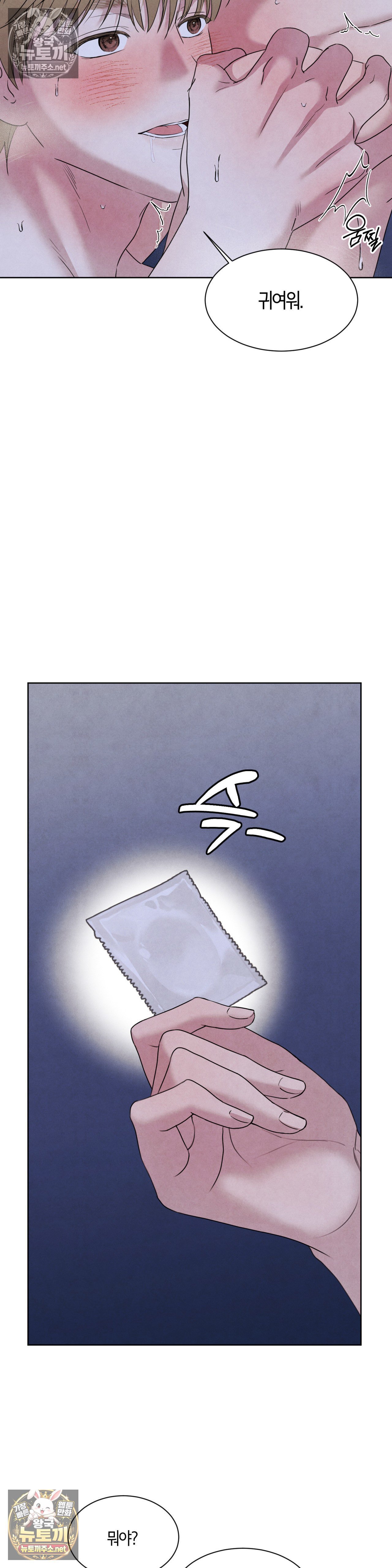 006.jpg
