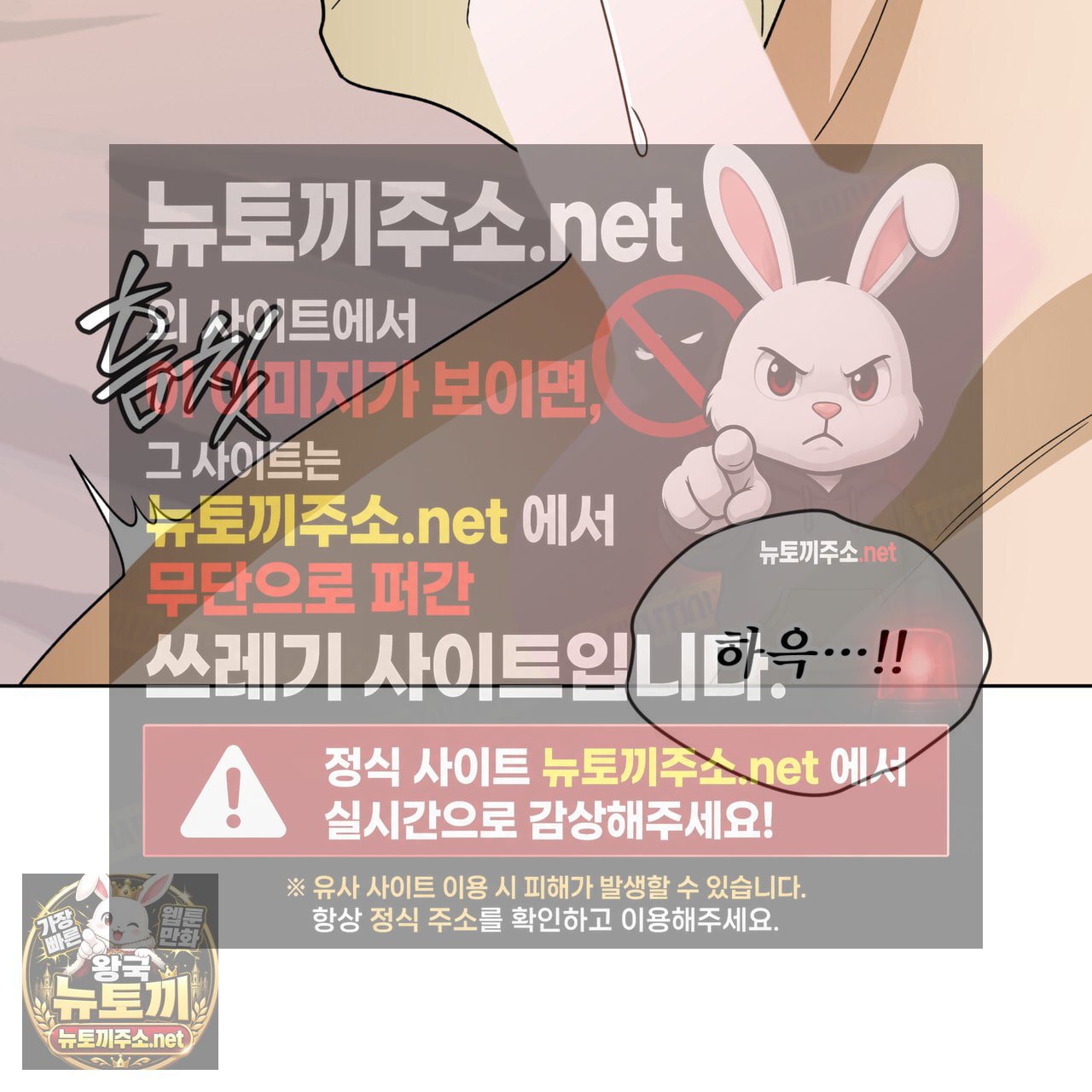 050.jpg