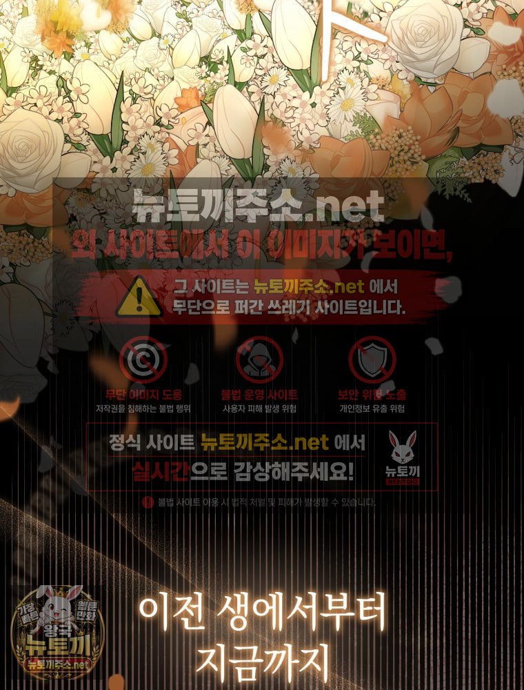 102.jpg