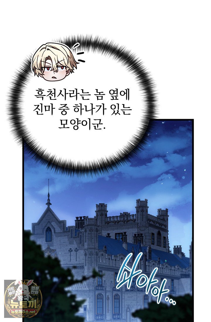 003.jpg