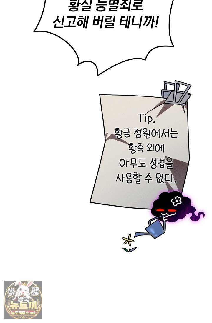 101.jpg