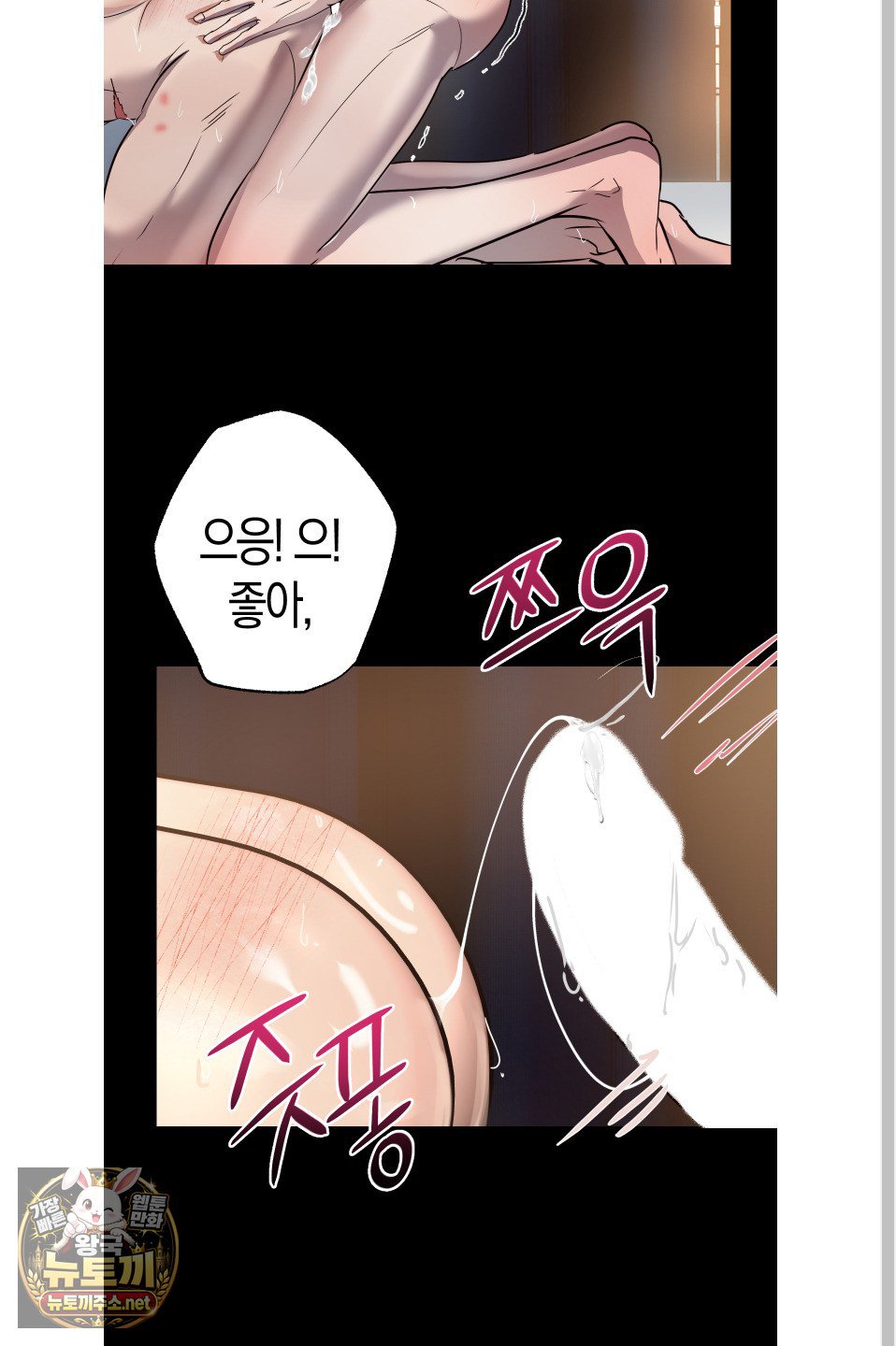 062.jpg