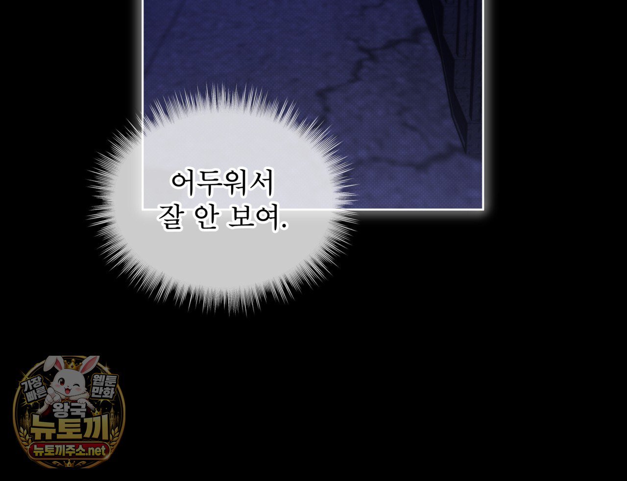 101.jpg