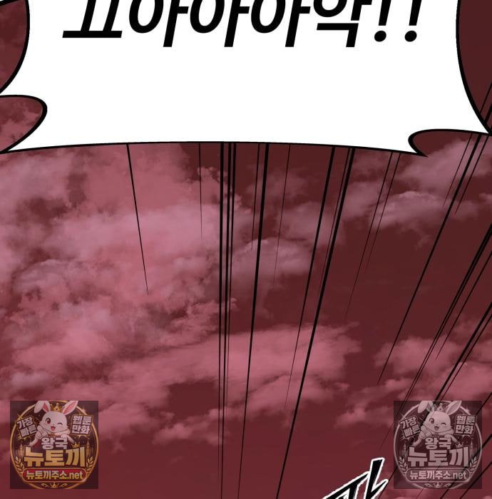 204.jpg