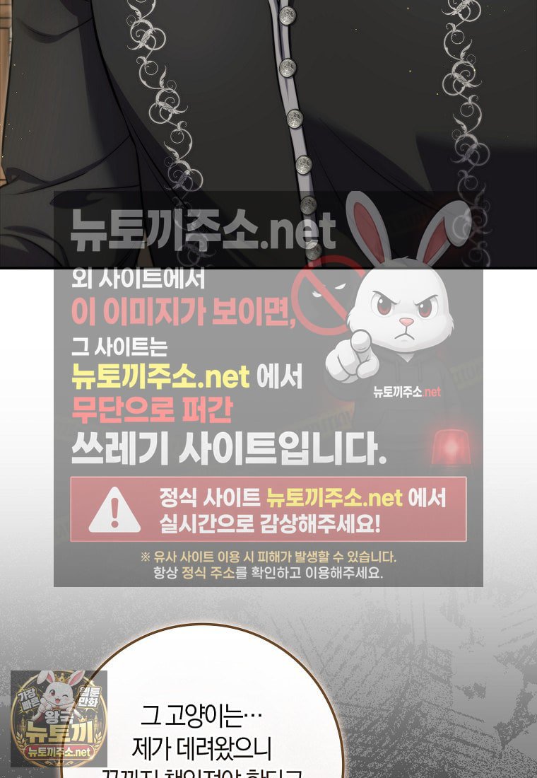 135.jpg