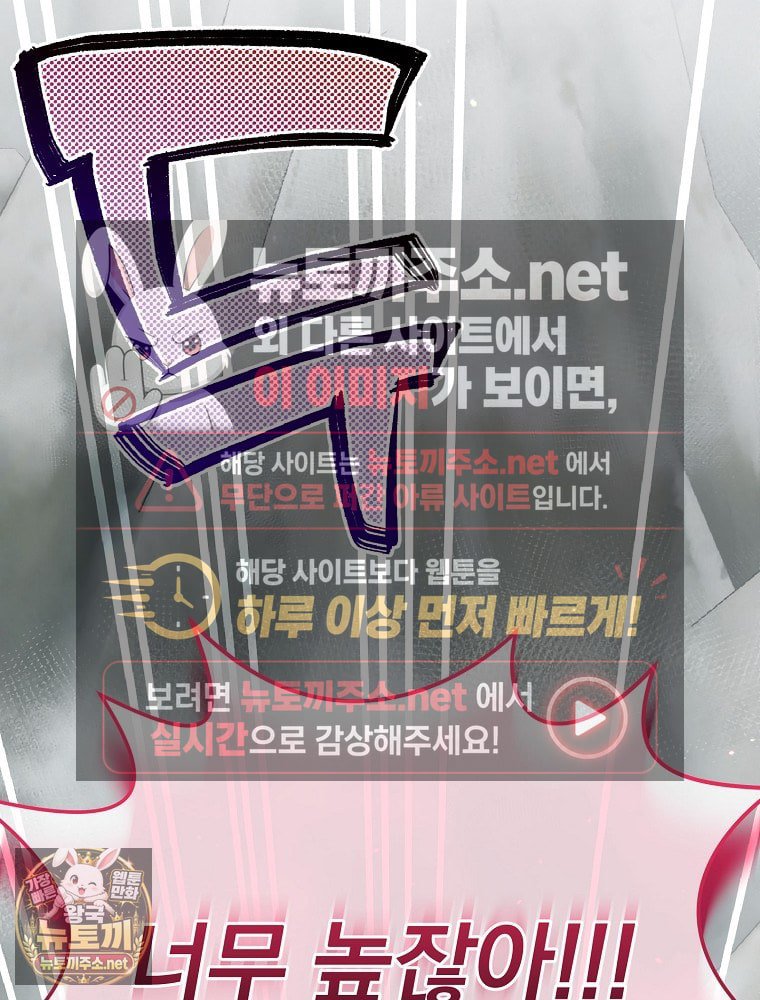 113.jpg