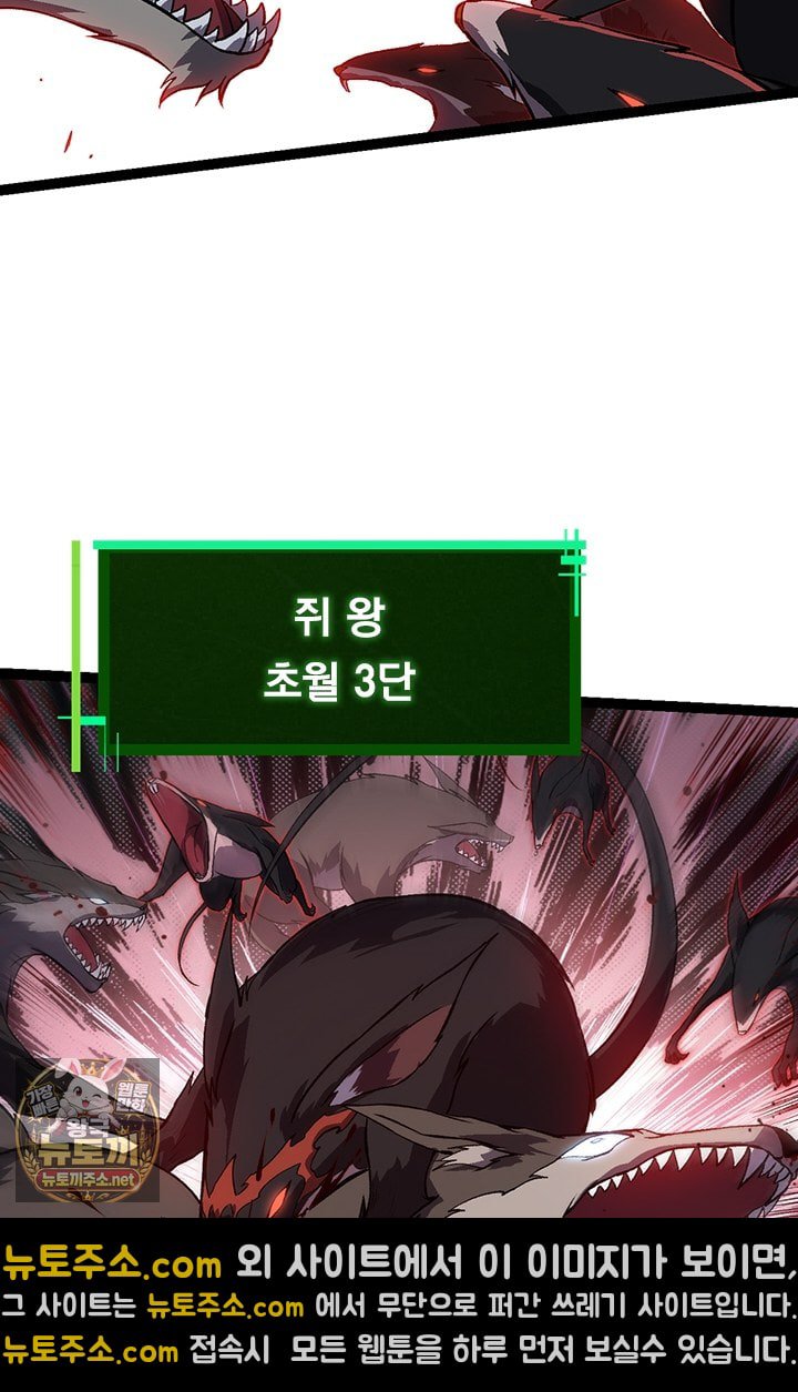 005.jpg