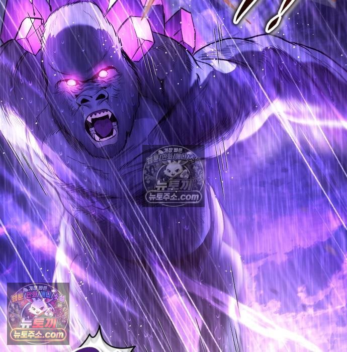 141.jpg