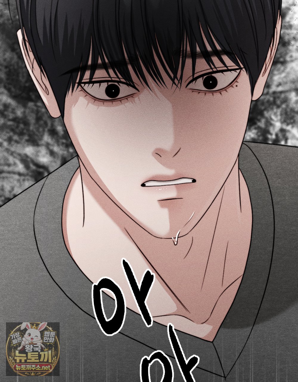 116.jpg