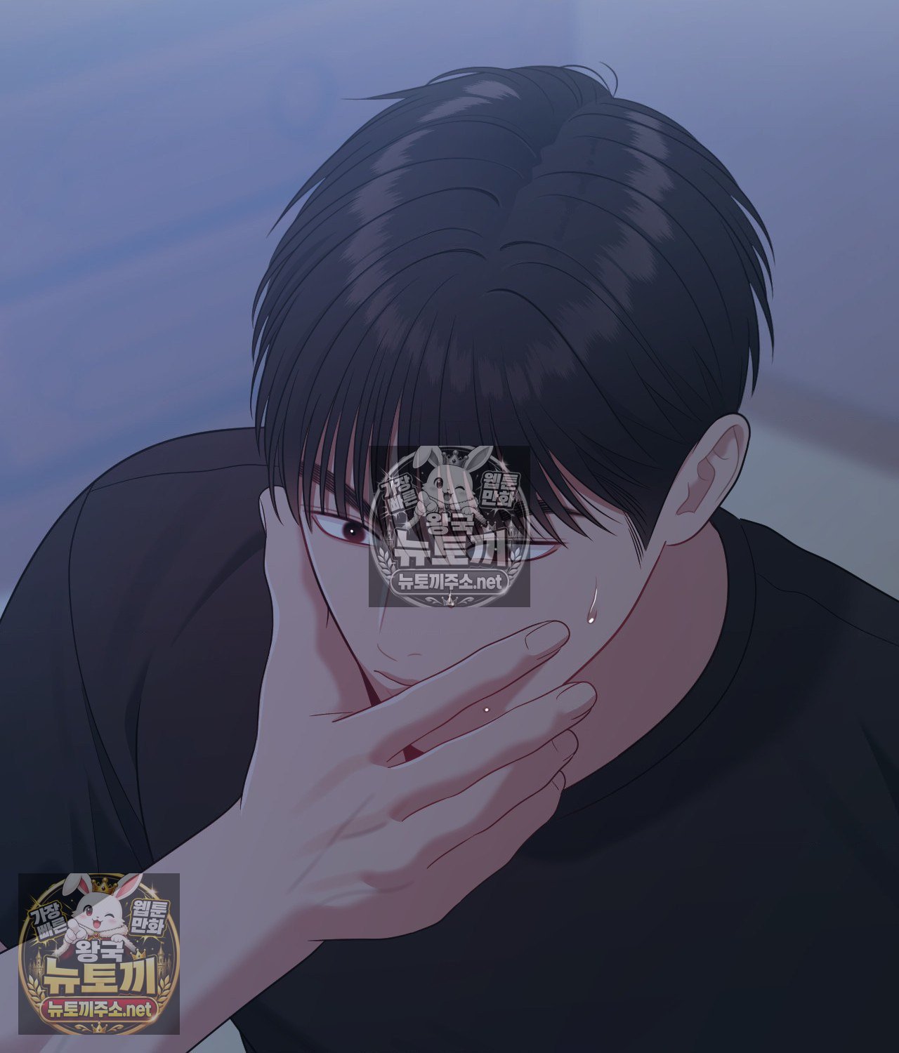 113.jpg
