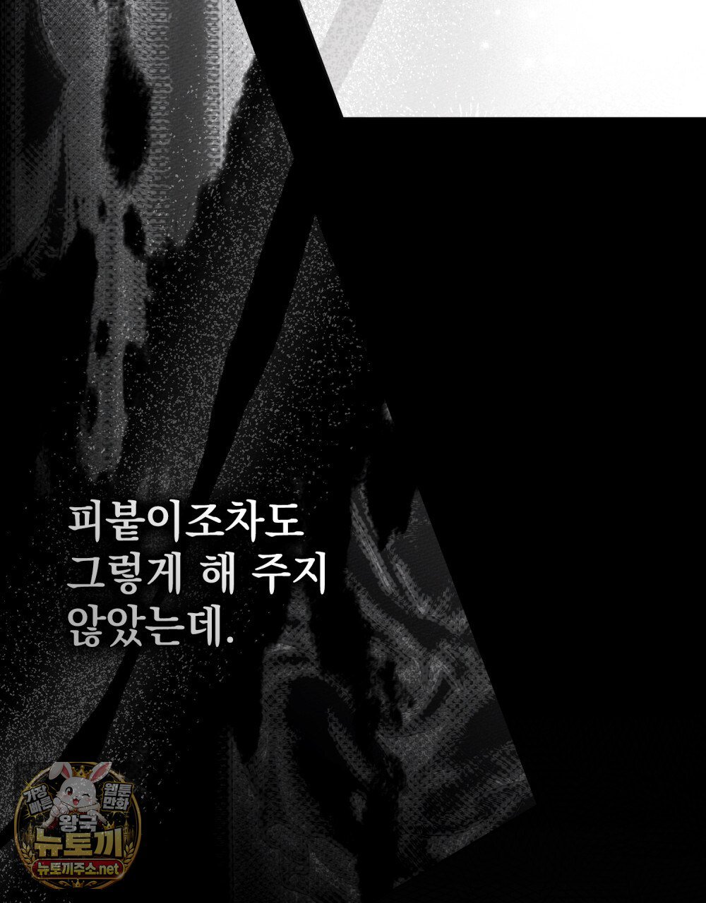 050.jpg