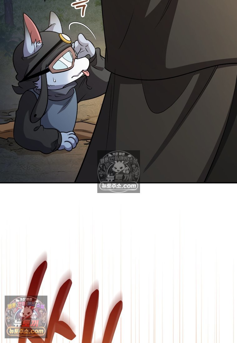 113.jpg