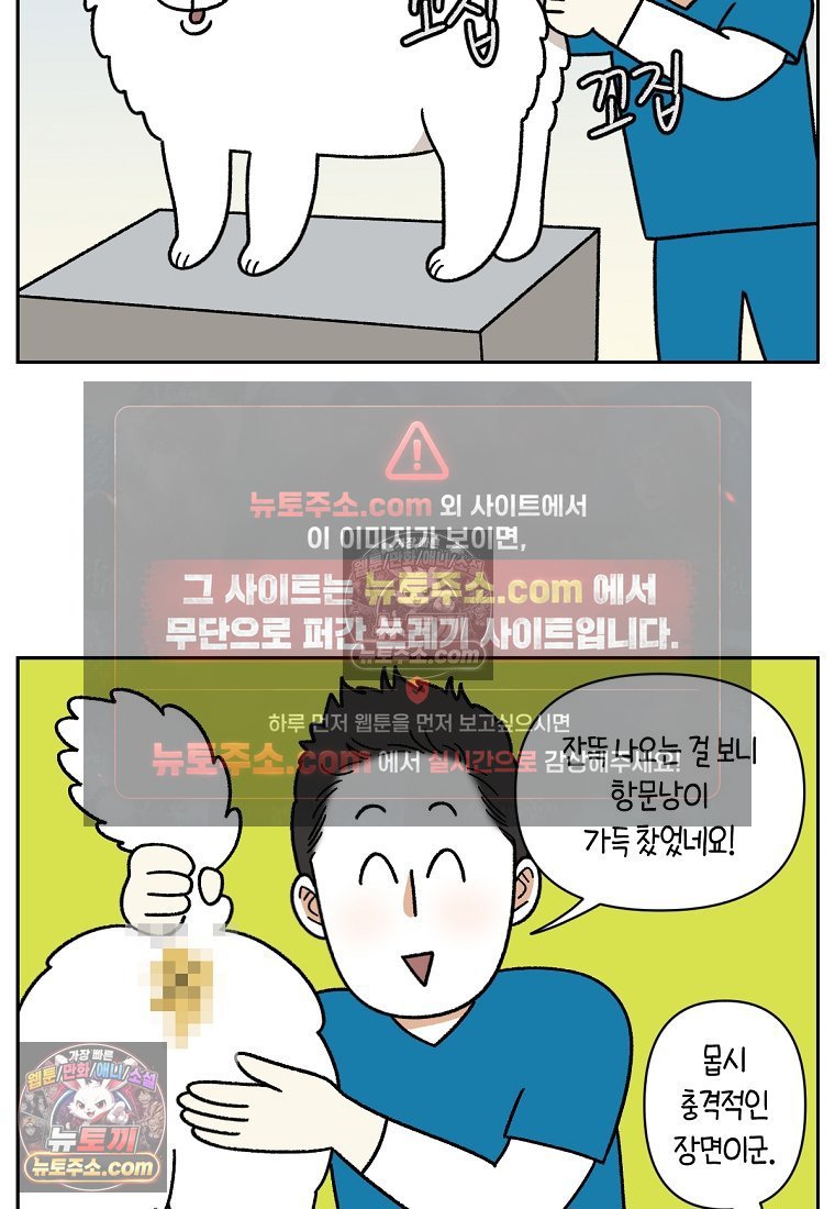 009.jpg