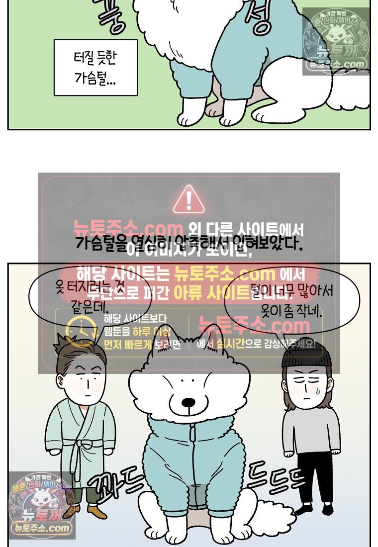010.jpg