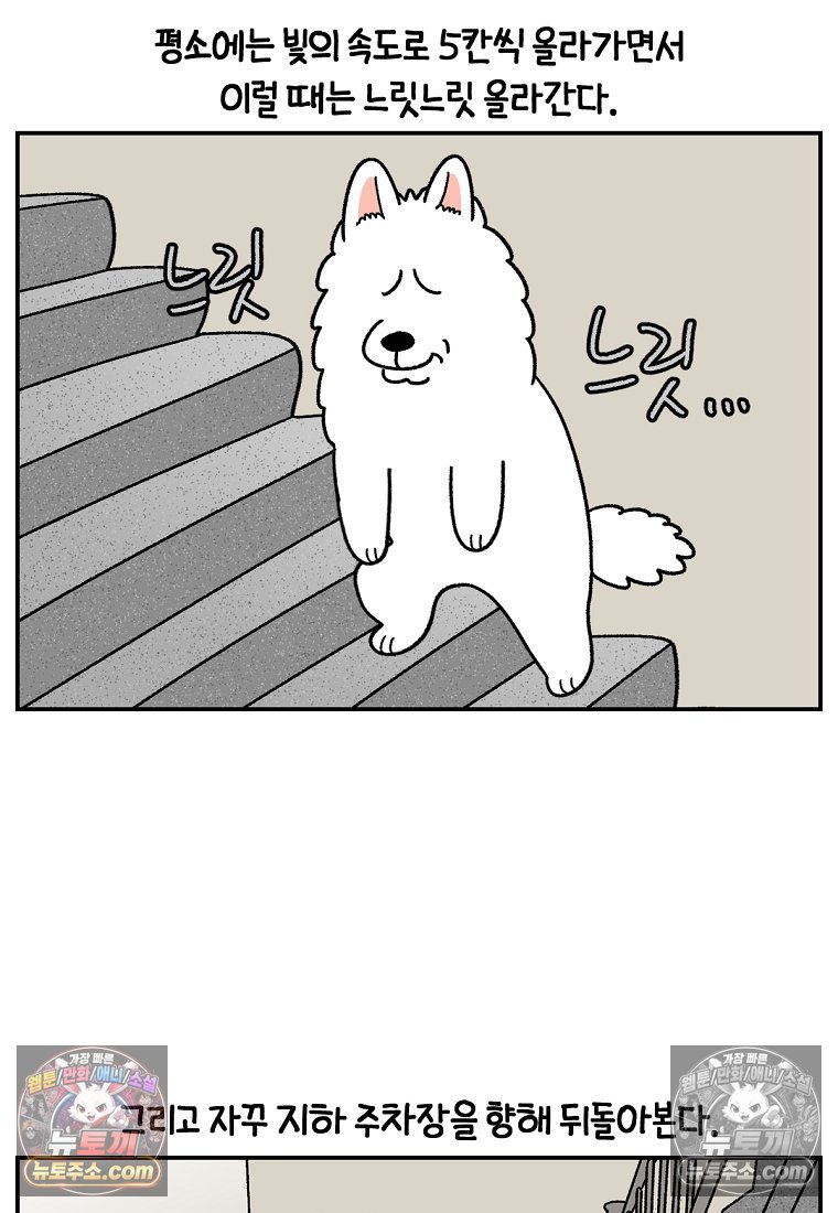 008.jpg