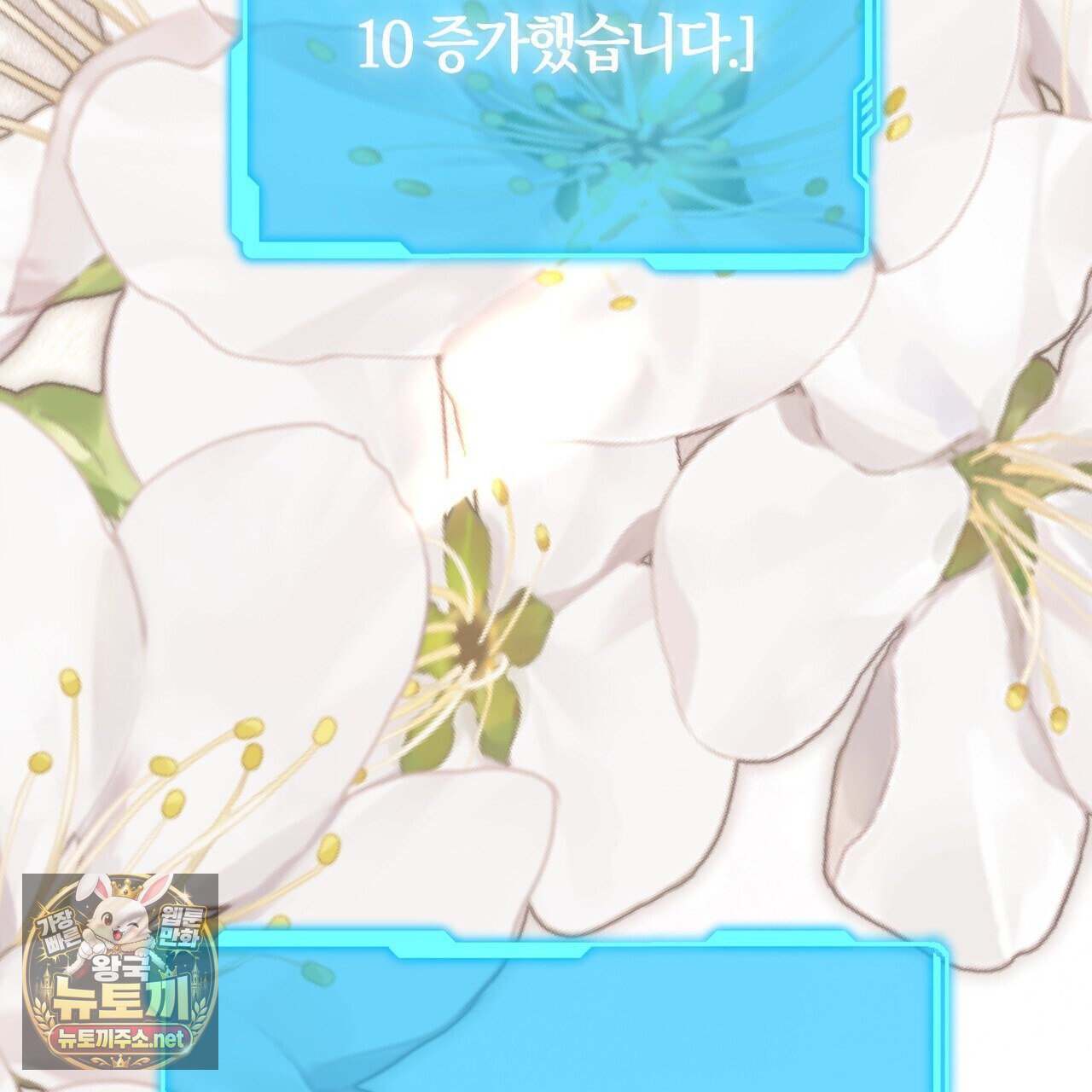 207.jpg