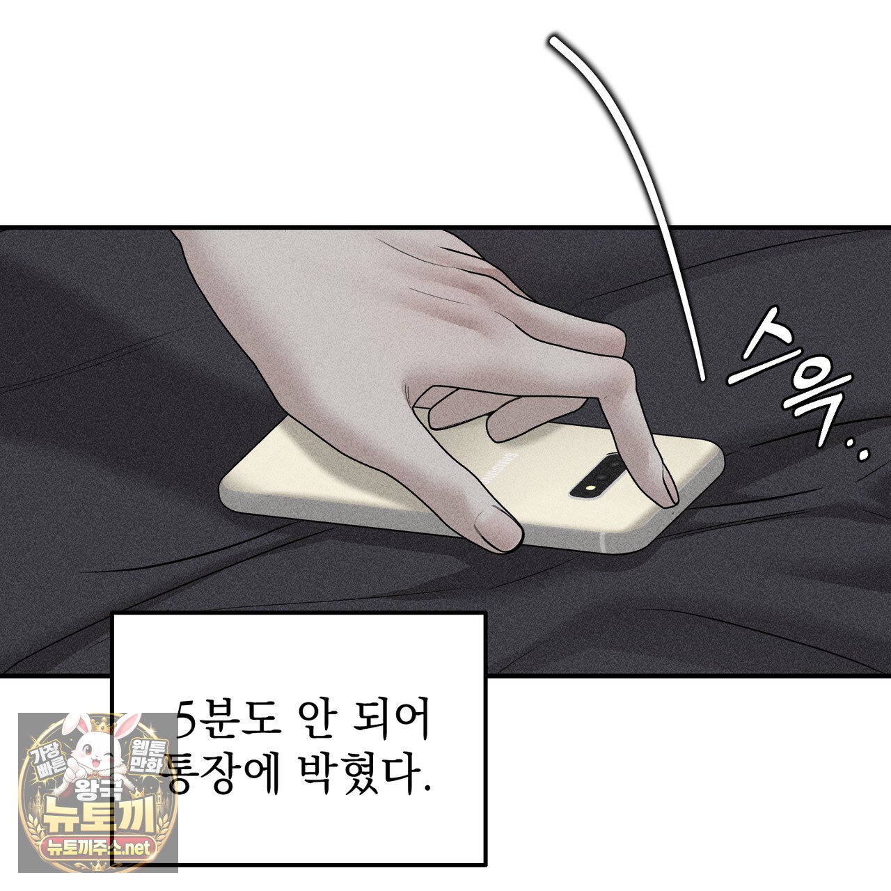 113.jpg