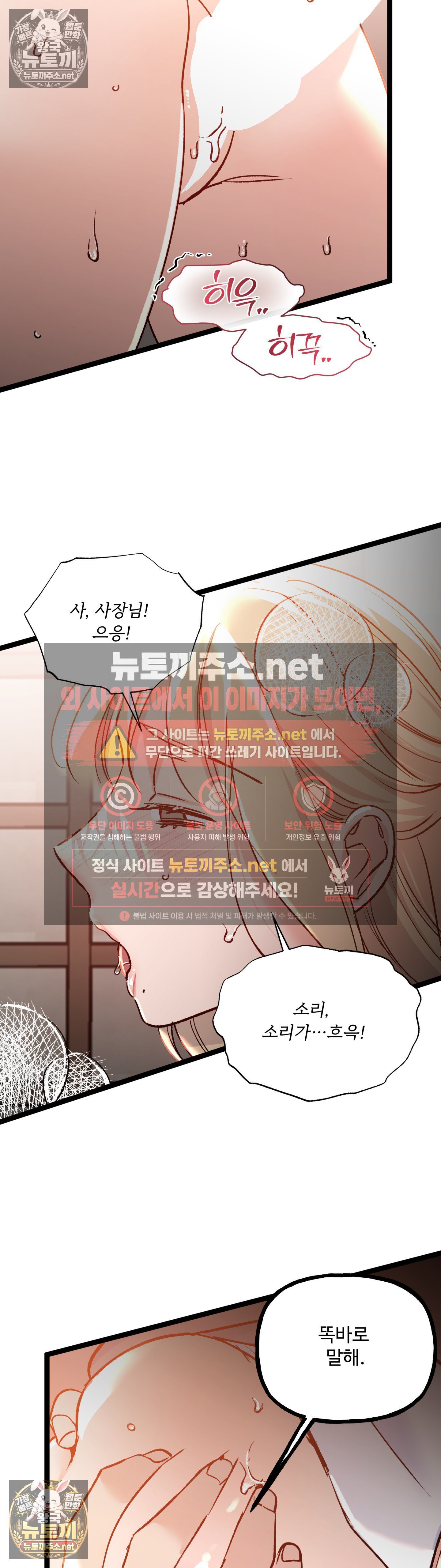004.jpg