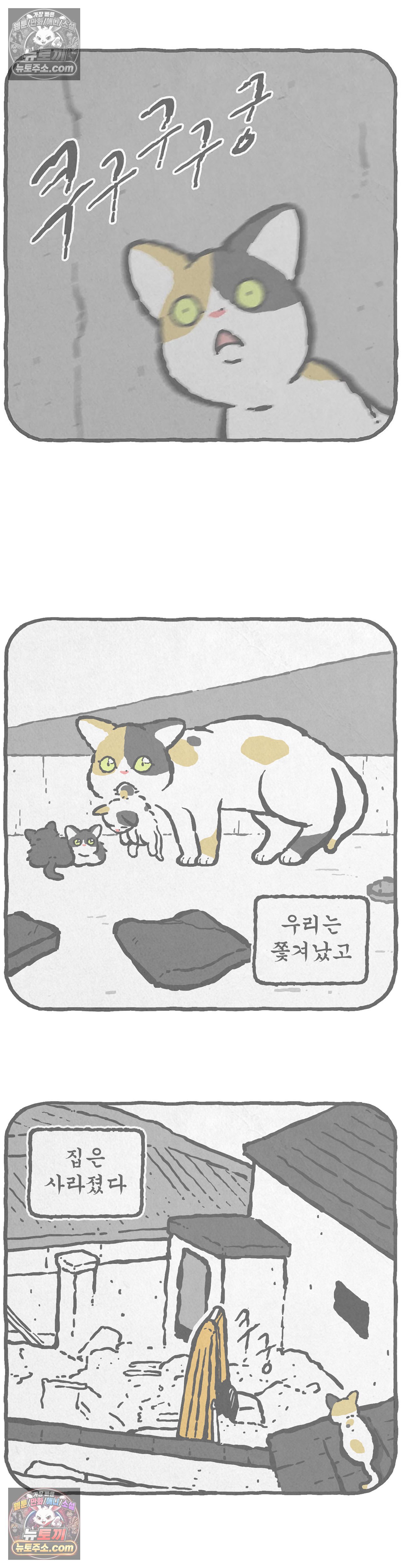 003.jpg