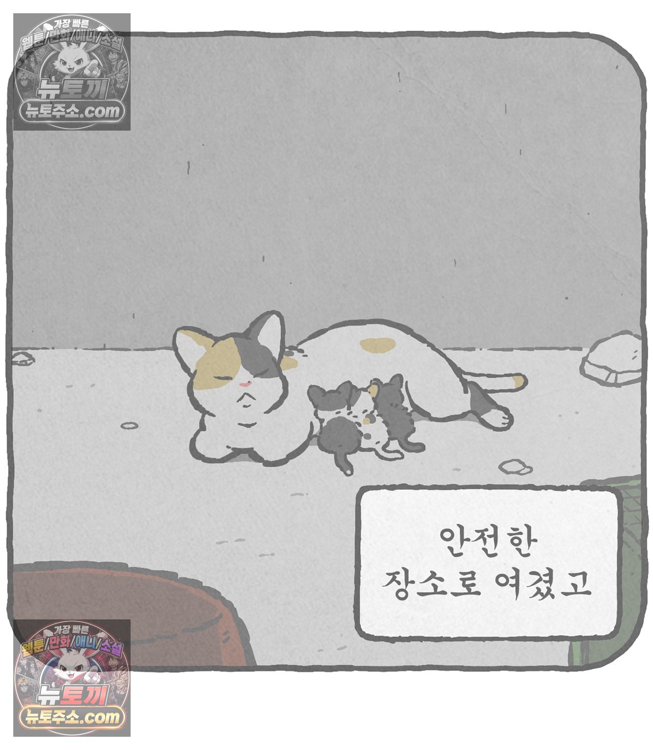 005.jpg