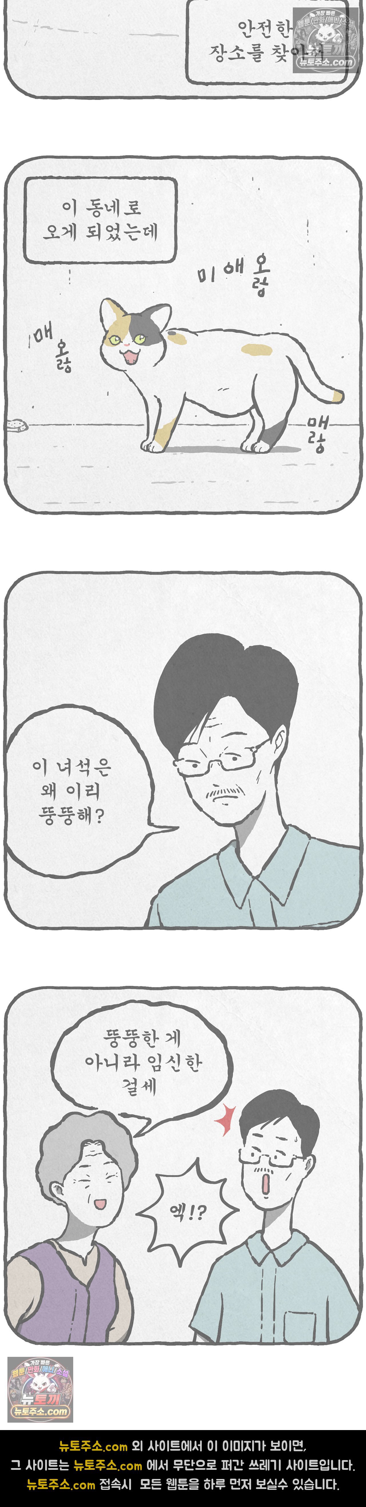 009.jpg