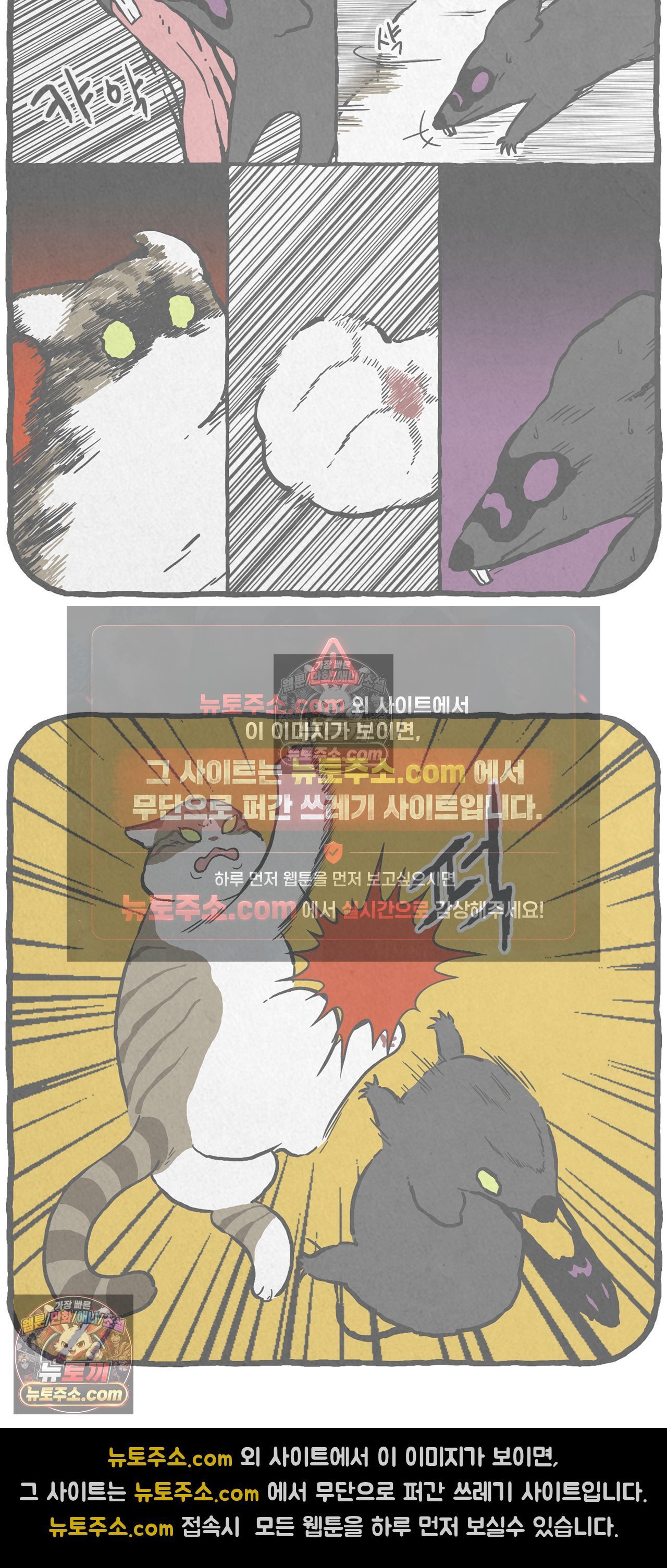 005.jpg