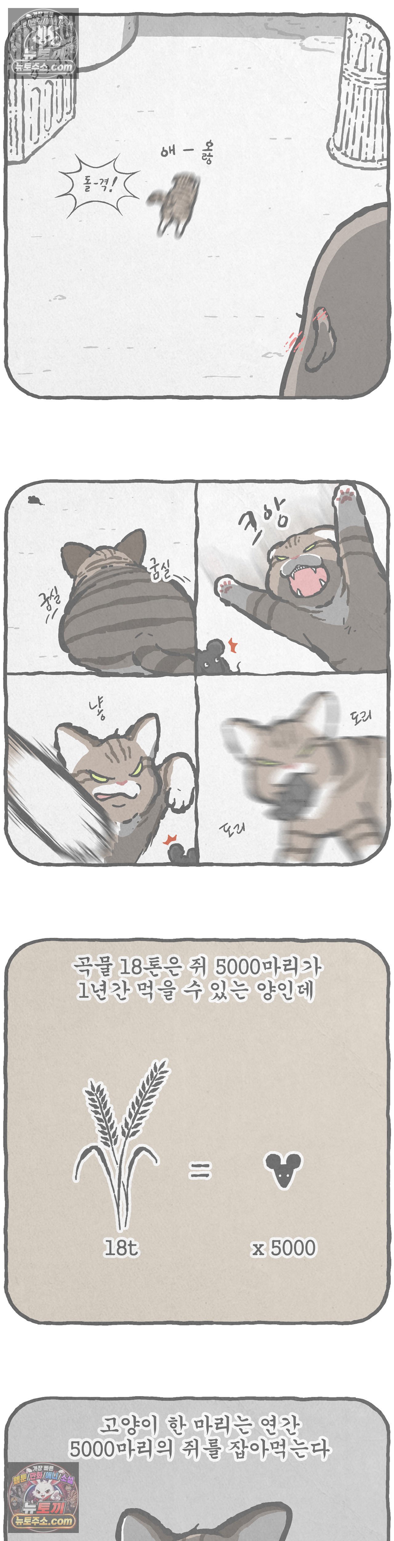 006.jpg