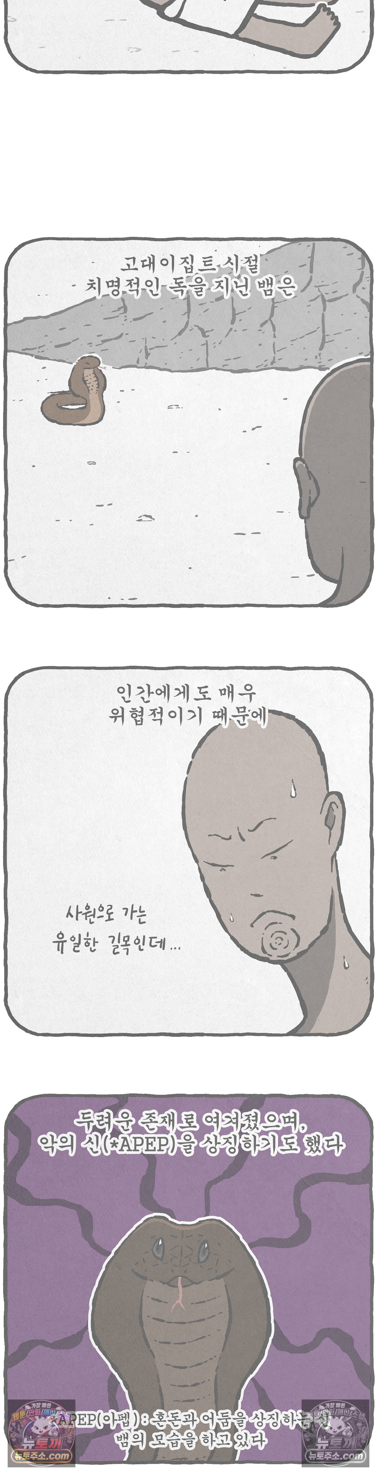 008.jpg