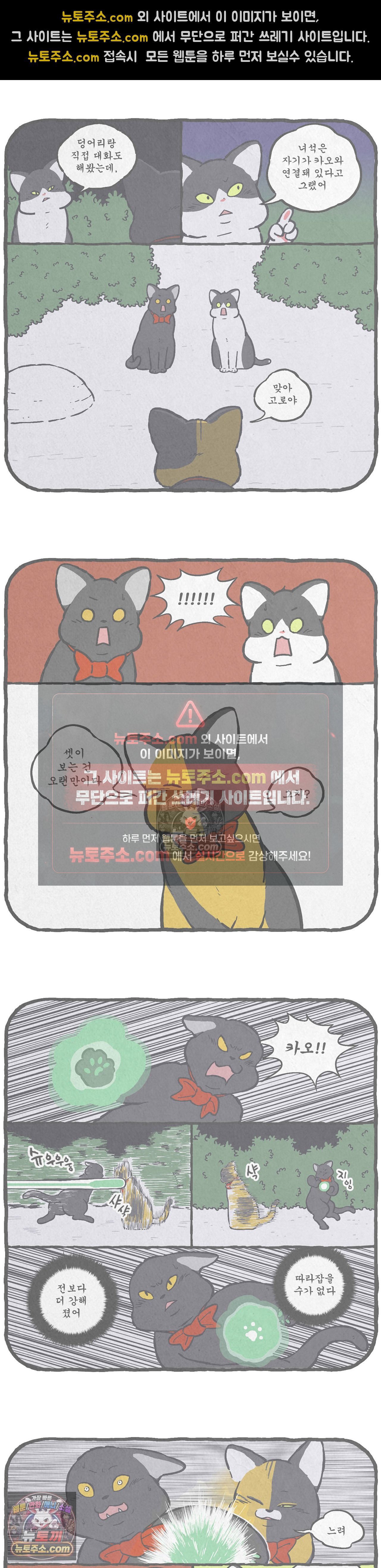 006.jpg