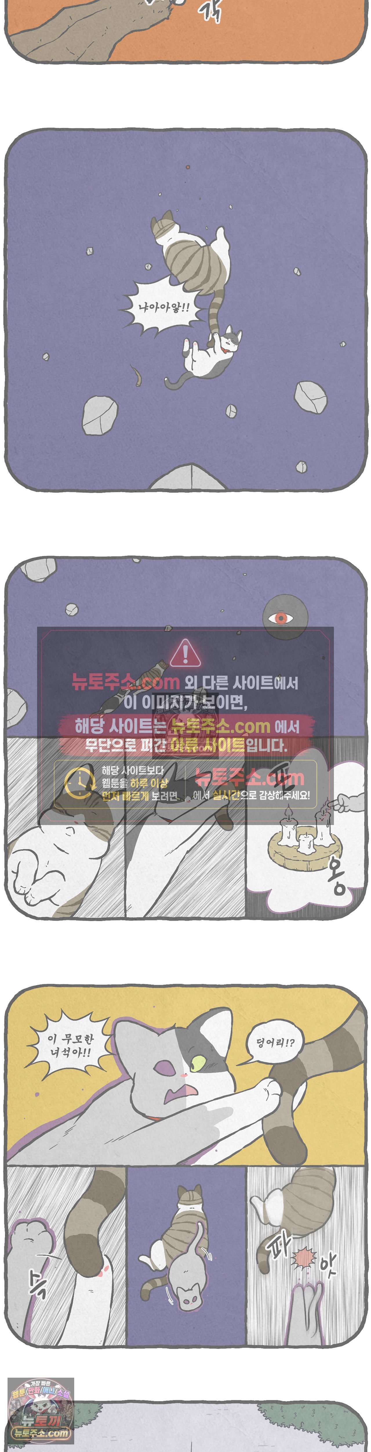 004.jpg
