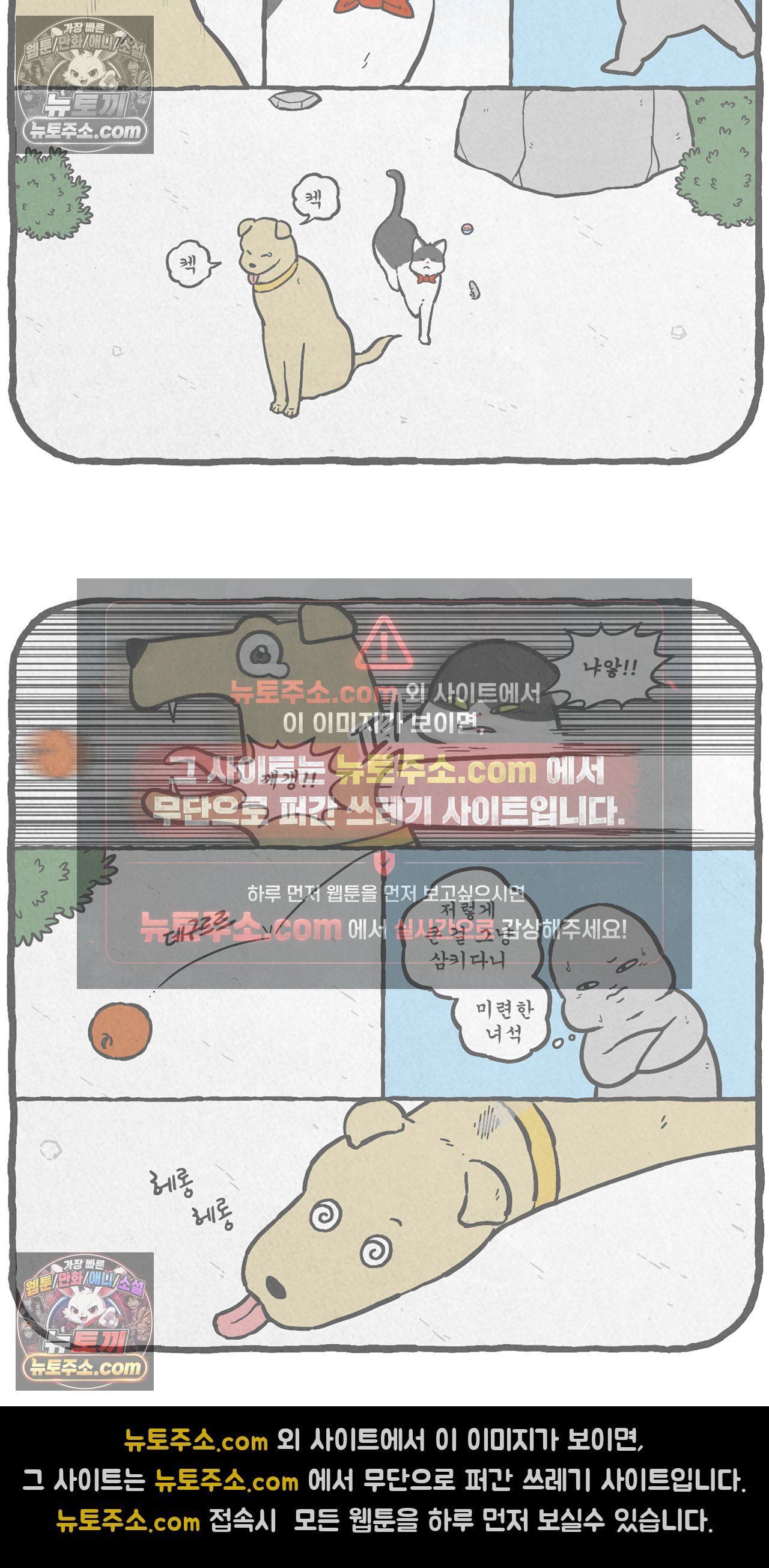 010.jpg