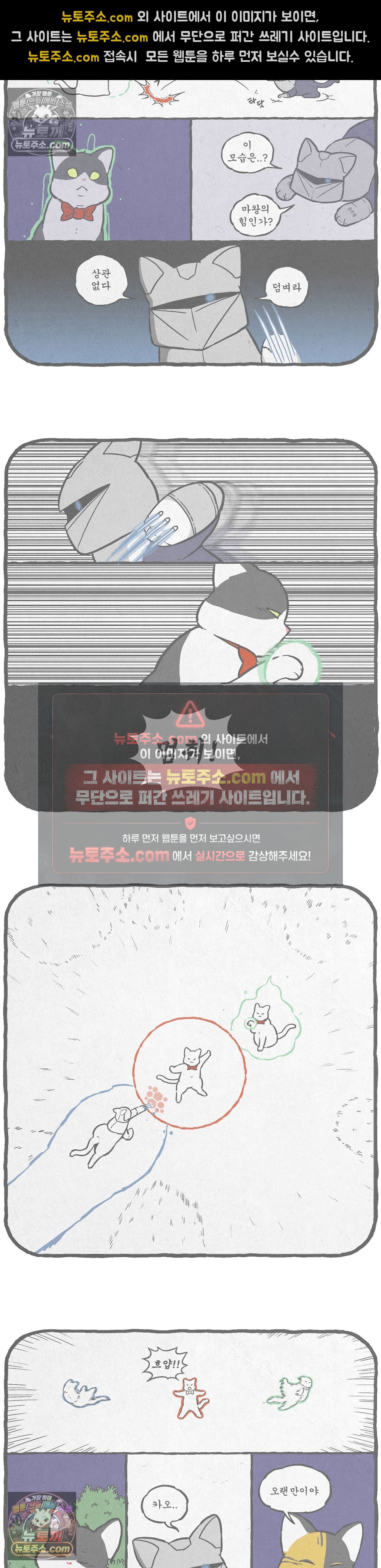 007.jpg
