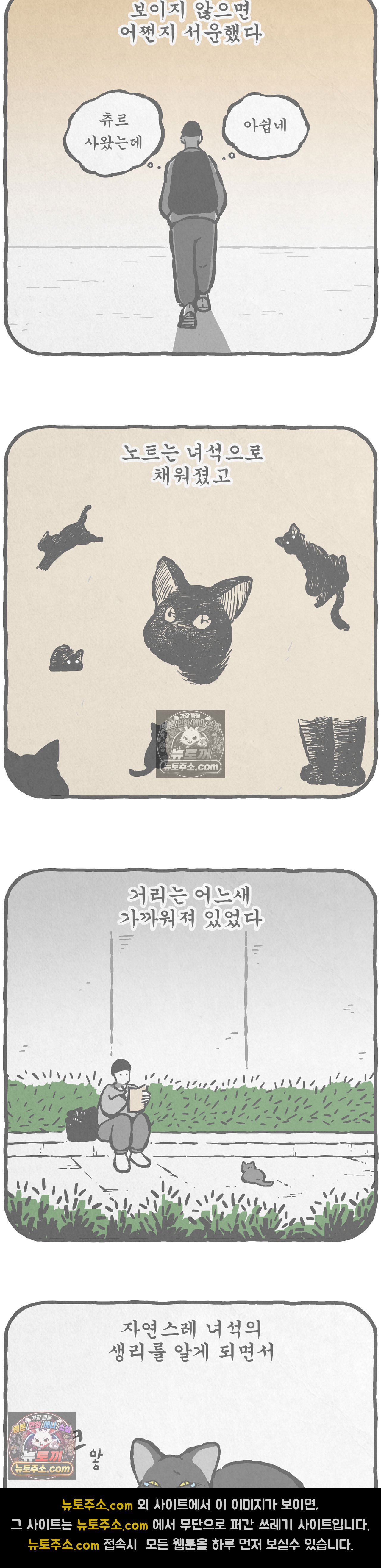 009.jpg