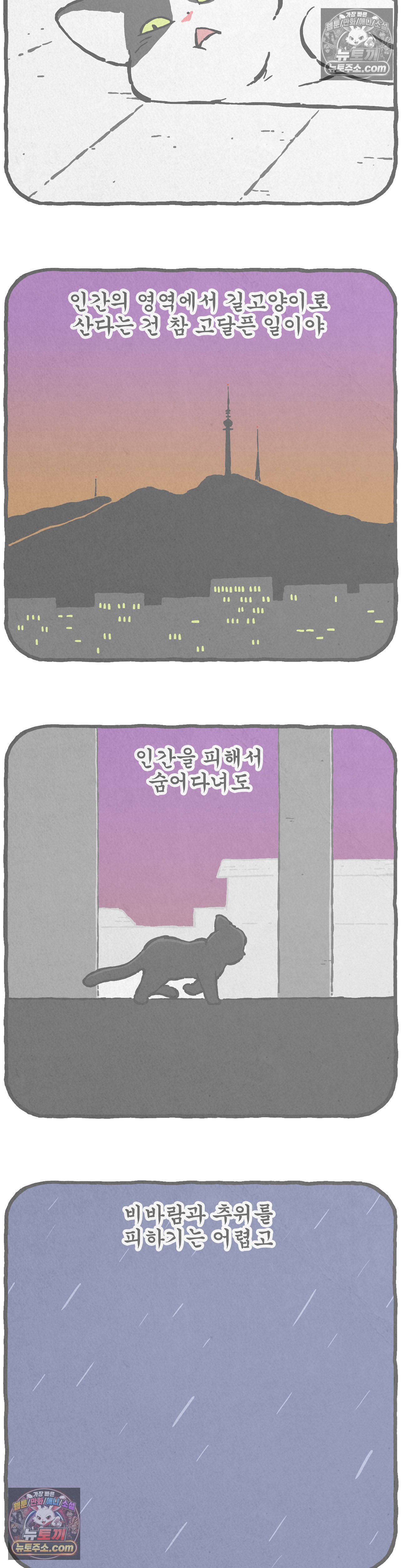 009.jpg